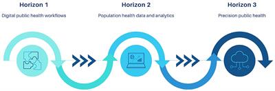 Precision Public Health for Non-communicable Diseases: An Emerging Strategic Roadmap and Multinational Use Cases